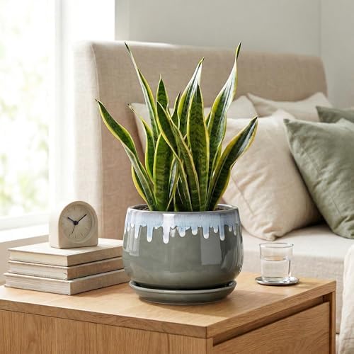 Ceramic Planter, 7 Inch Flower Pots for Indoor Plants, Grey-Blue - Image 7