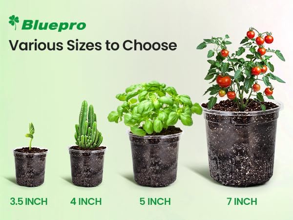 Bluepro Clear Nursery Pots with Drainage Holes, 4/5/7 Inch, 30-Pack - Image 6
