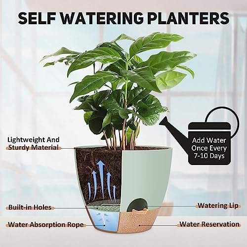 YNNICO 12 inch Large Self Watering Plant Pots for Indoor Outdoor Plants - Image 3