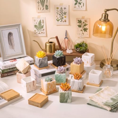 Ziliny 12 Pcs Marbling Ceramic Flower Pot Succulent Small Plant Cactus Herbs Planter Ceramic Pot with Drainage Hole Matte Container (Square Style) - Image 5