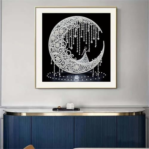 SHICERNHJ Moon Diamond Art Kits for Adults,Special Shape Diamond Painting Kits Beginners,DIY 5D Crystal Rhinestones Craft Art for Home Wall Decor 12 X 12 Inch - Image 3