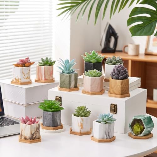 Ziliny Marbling Ceramic Flower Pot Succulent Small Plant Cactus Herbs Planter Ceramic Pot with Drainage Hole Matte Container (12 Pcs,Hexagon Style) - Image 5