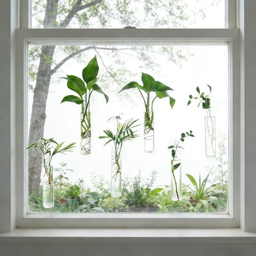 Bunmery 6 pcs Window Propagation Stations, Plant Propagation Tubes with suckion Cups & Nails, Easy to Install Wall Hanging Planter Propagation Station, Glass Plant Terrarium Vase - Image 2