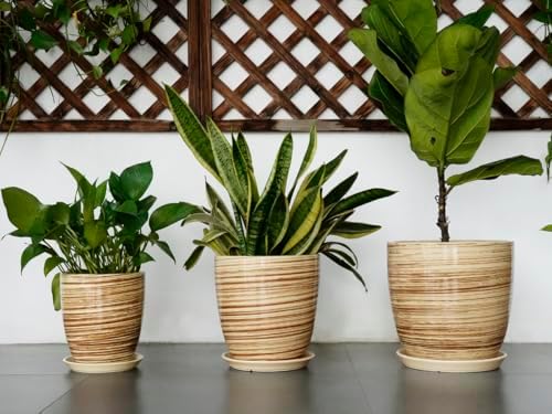 12 Inch Planter Pot Ceramic Plant Pots for Plants with Drainage Hole and Saucer Large Flower Pot for Home Patio Garden Office Yellow - Image 7