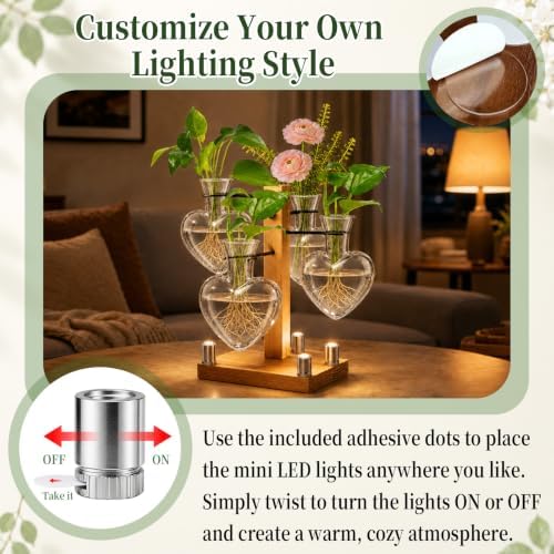 Plant Terrarium Propagation Station with 4 Heart Glass Vases - Transparent - Image 5