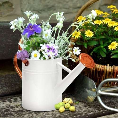 Metal Watering Can with Removable Spout, Galvanized Watering Can, Perfect for Indoor Use and for Outdoor Use (1 Gallaon, White) - Image 5