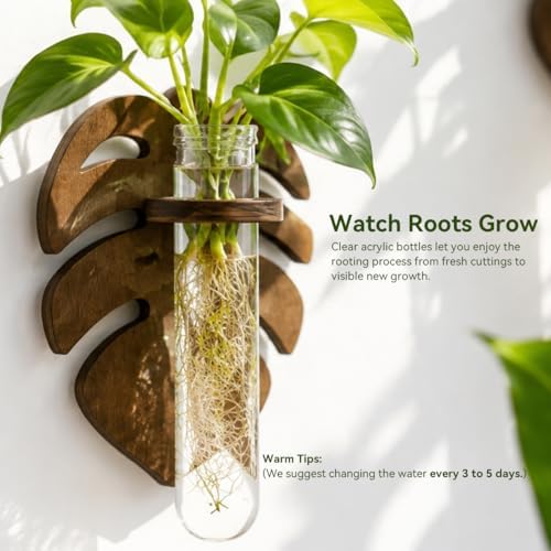 Artilady Plant Propagation Station Wall Hanging, Planter Terrariums Tube - Image 4