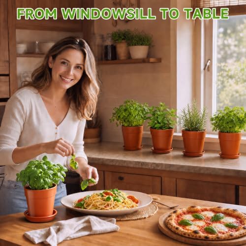 Herb Garden Kit, Indoor Herb Garden Starter Kit with Pots & Herb Seeds, Beautiful Gift Box, Gardening Gift for Women & Mom, Birthday, Christmas & Housewarming - Image 2