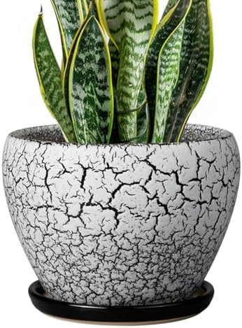 Ceramicfor Ceramic Plant Pot 8 Inch, Glaze White and Black by Ceramicfor