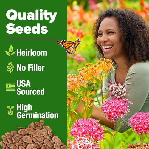 HOME GROWN Milkweed Seeds, 5 Variety Mix, 500+ Seeds, Asclepias syriaca - Image 6