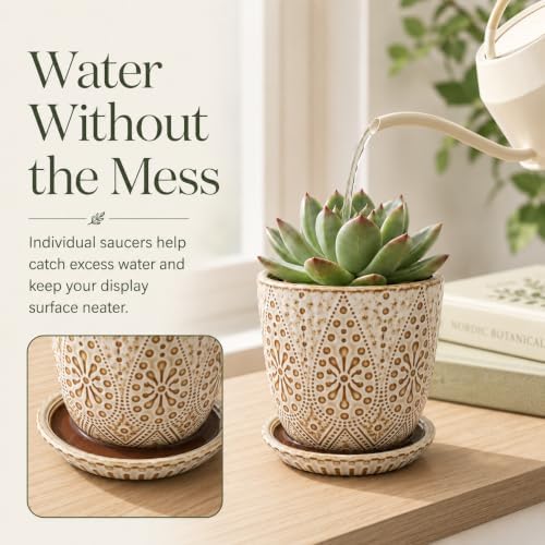 Gepege Ceramic Succulent Pots, 4 Inch Small Plant Pots with Drainage - Image 5