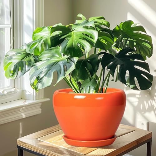 Ceramicfor Ceramic Pot for Plants - 10 Inch Plant Pot with Drainage Hole and Saucer, Modern Round Glaze Planter for Indoor Outdoor Plants, Plant Lover Gifts, Home Garden Office Decor, Orange - Image 6