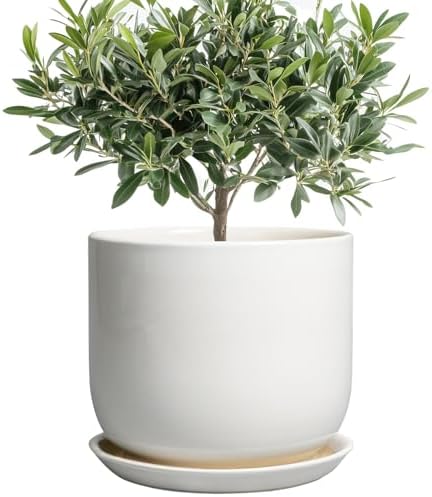 Ceramic Plant Pot - Modern 8 Inch Round Planter for Indoor Outdoor Plants with Drainage Hole and Saucer, Home House Room Office Decor, White by SUNPOTFOR
