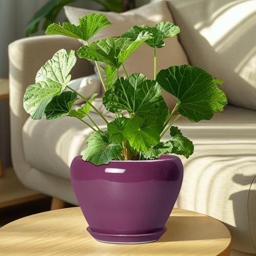 Ceramicfor Ceramic Planter - 8 Inch Plant Pot Indoor with Drainage Hole and Saucer, Glaze Decorative Planter, Round Flower Pot, Plant Lover Gifts, Home Garden Office Decor, Purple - Image 7