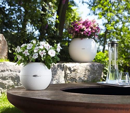 Lechuza Puro Color 20 White, Self-Watering Small Indoor Planter, D7.9 H6.3 in - Image 7