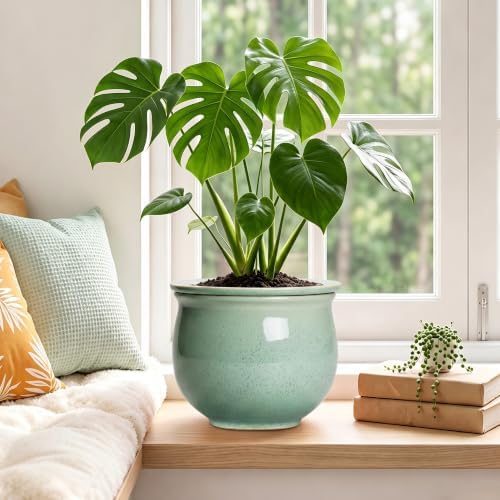 Ceramic Self Watering Planter, 8 Inch African Violet Pots, Green - Image 4