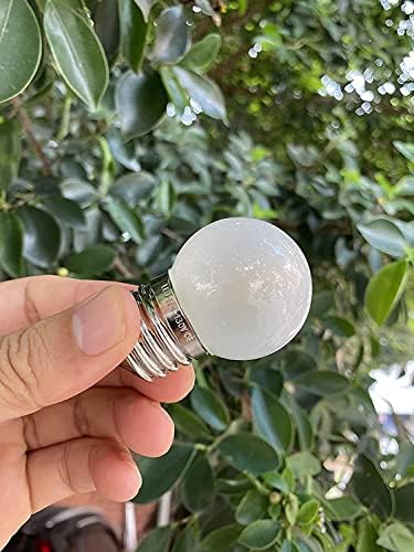 G40 1.5w Low Wattage Led Bulb Equal 15 Watt Small E26 Light Bulbs - Image 6
