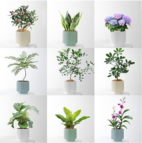 Ceramic 4.9+6.3 inch Planters, Modern Home and Office Flowerpot, Indoor and Outdoor Flowerpot with Drainage Hole (Grayish Blue) - Image 4