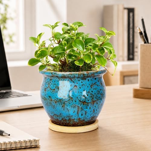 Plant Pots, 4.5 Inch Ceramic Pots for Plant with Drainage, Succulent Pots - Image 4