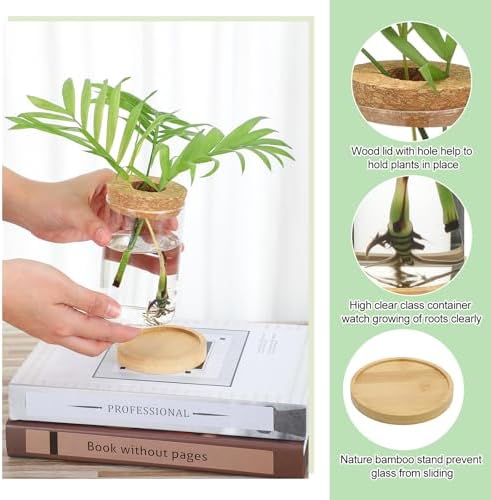 Layhit 4 Pcs Plants Propagation Stations vases Glass Planters with Wooden Lid and Bamboo Stand for Hydroponic Plants Gardening Gifts for Women Mom Home Office Tabletop Decoration(Wide Mouth Style) - Image 4