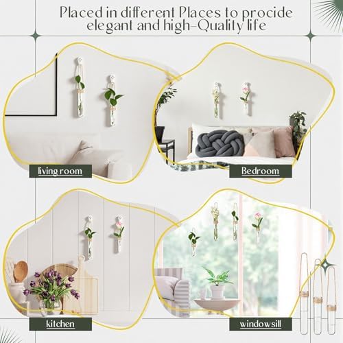 Baderke 9 Pack Clear Window Propagation Stations Plastic Window Planter with Suction Cups & Traceless Nails, Propagated Plant Holders with Bottle Brush, Hanging Vases Terrarium Gift (5.5''& 5"& 3.7'') - Image 5