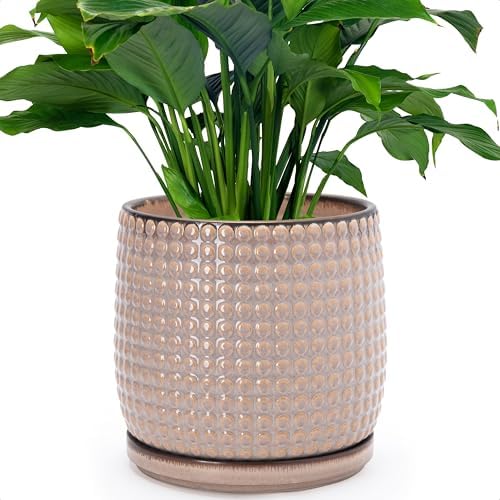 D'vine Dev Beaded Ceramic Pot with Saucer, 8 in, Light Brown, 27-C-Q-4 by DvineDevPlanterPotsandStand