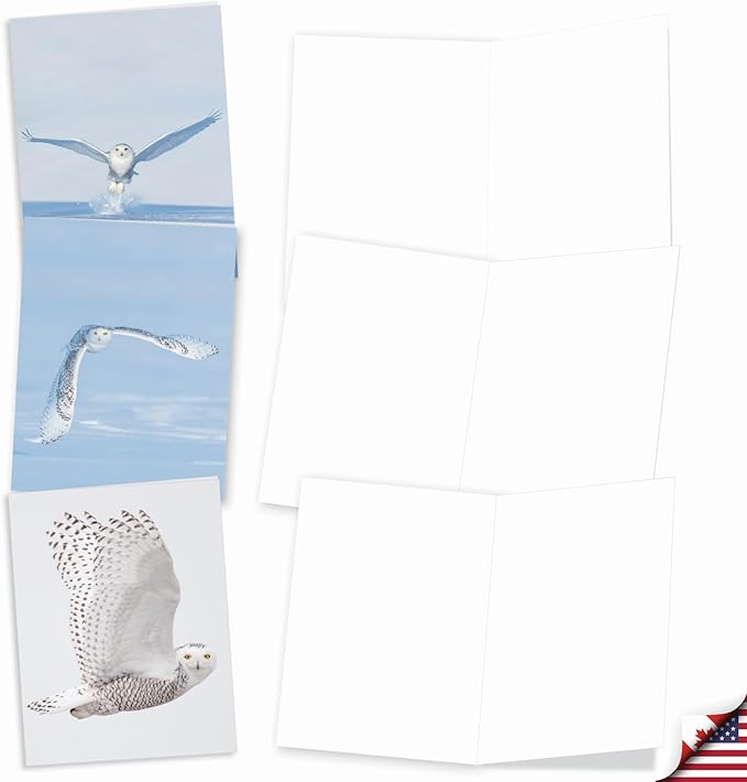 The Best Card Company - 20 Blank Note Cards with Envelopes (4 x 5.12 Inch) - All Occasion Animal Card Assortment (10 Designs, 2 Each) - Snowy Owls AM9518OCB-B2x10