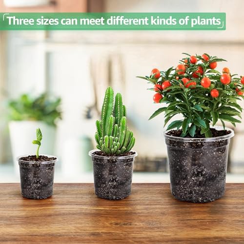 Bluepro Clear Nursery Pots with Drainage Holes, 3.5/4/5 Inch, 36-Pack - Image 6