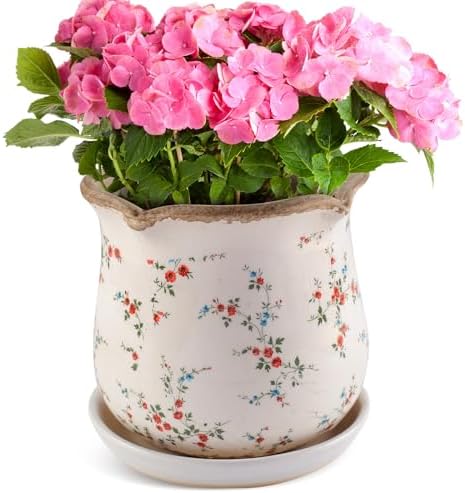 Ceramic-Planters-for-Indoor-Plants with Saucer, 6 inch Vintage Ice Crackle Glaze Plant Pots with Drainage Holes, Decorative Flower Pots for Outdoor Garden Home Decor, Tuscan Pot for Plant by Xoogifae