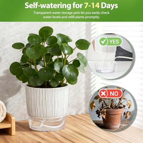 3 Pack Self Watering Pots Set, 4 Inch Self Watering Pots for Indoor Plants - Image 5