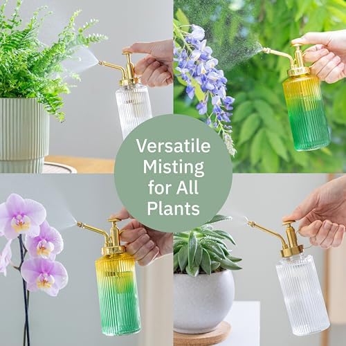 Useful Co. Yellow & Green Glass Plant Mister for inside, Mister for Plants, Plant Sprayer Mister, Decorative Plant Mister Spray Bottle with Adjustable Nozzle for indoor plants (230ml/ 7.8oz) - Image 6