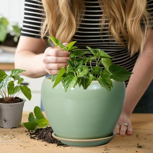 Ceramicfor 8 Inch Plant Pot - Ceramic Planter for Outdoor Plants Indoor Plant Pot with Drainage Hole and Saucer Mid-Century Round Planter Flower Pot for House Garden Green - Image 5