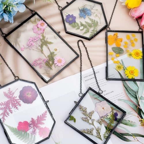 Bucherry 5 Pcs Glass Frame for DIY Pressed Flowers Art Brass Hanging Photo Picture Frame with Chain and 6 Styles Pressed Flowers Collage Glass Craft Frames for Wall Decor Display Gallery (Black) - Image 5