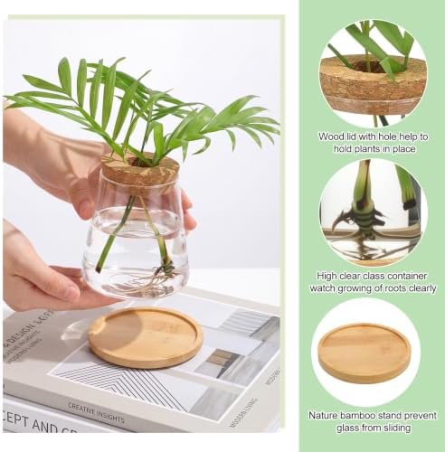 Honeydak 6 Pcs Plants Propagation Stations Planter Terrariums with Wooden Lid and Bamboo Stand Sphere Glass Propagation Vases for Plant Growing Hydroponic Home Office Tabletop Decoration - Image 3