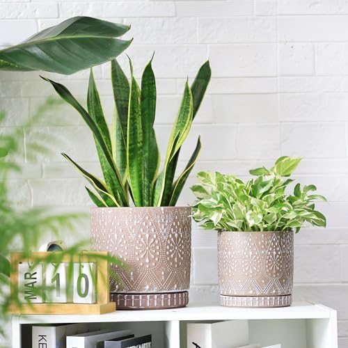 8 Inch + 6 Inch Plant Pot with Drainage Holes and Saucers, Indoor Ceramic Planter for Plants Succulent Orchid Flower Pots - Image 2
