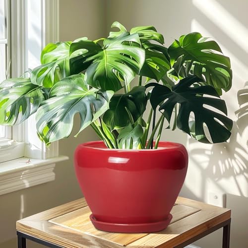 Ceramicfor 10 Inch Plant Pot, Ceramic Planter for Indoor Plants, Glossy Red - Image 6