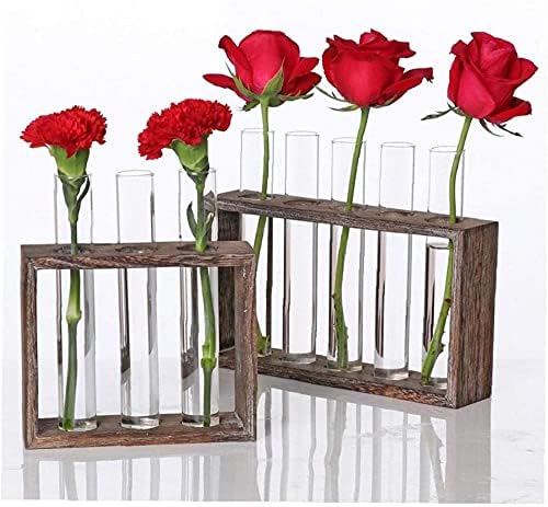 Tube Shape Glass Vase with 3 or 5 Holes Wood Stand Decoration Flower Vontainer for Hydroponics Plant Transparent Flower Arrangement Vase-3 Tube - Image 7