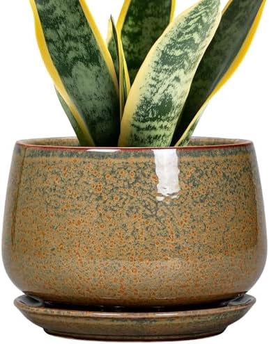 G EPGardening 7 Inch Ceramic Pots for Plants - Ceramic Planters for Indoor Outdoor Plants, Round Plant Pots with Drainage and Saucer, Modern Planter, House Decor, Plant Lover Gifts, Speckled Brown by GEPGardening