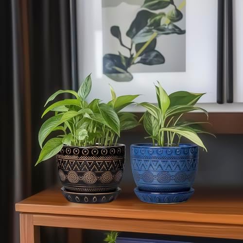 G EPGardening 5.5 Inch Ceramic Planter - Ceramic Plant Pot for Indoor Outdoor Plants, Boho Round Flower Pot with Drainage Hole and Saucer, Gifts for Plant Lovers, Office Garden Home Decor, Black - Image 7