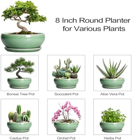 SQOWL Bonsai Planter - 8 Inch Ceramic Succulent Planters for Indoor Plants Outdoor, Shallow Round Planter with Drainage Hole and Saucer, Ceramic Bowl Planters, Home Decor, Birthday Gifts, Green - Image 7