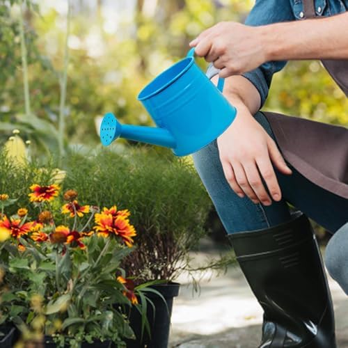 Small Watering Can, 1L Metal Flower Garden Watering Can, Gardening Tool Accessories for Outdoor Indoor Plants Lawn (Blue) - Image 3