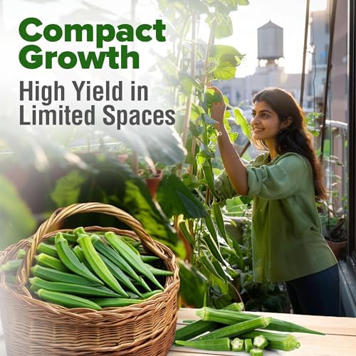 HOME GROWN Clemson Spineless Okra Seeds, 101+ Seeds, Abelmoschus esculentus - Image 6