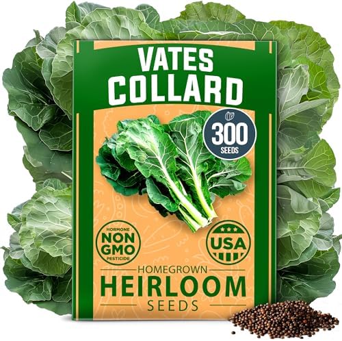 HOME GROWN Vates Collard Green Seeds, 300+ Seeds by HOMEGROWN