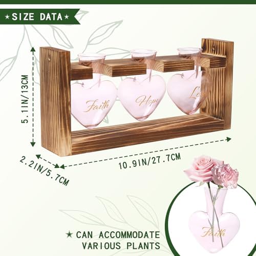 Plant Terrarium Propagation Stations Hydroponics - Image 4