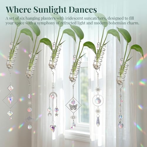 6Pcs Wall Hanging Glass Propagation Station with Crystal Planter Suncatcher - Image 4