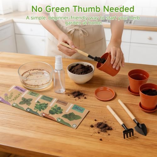 Herb Garden Kit, Indoor Herb Garden Starter Kit with Pots & Herb Seeds, Beautiful Gift Box, Gardening Gift for Women & Mom, Birthday, Christmas & Housewarming - Image 6