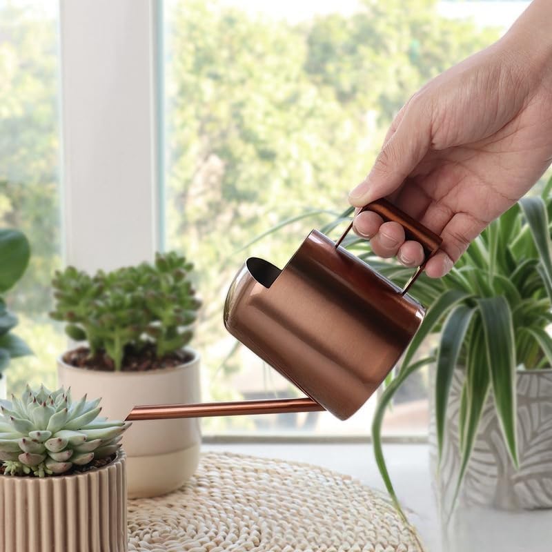 Mini Watering Can Stainless Steel Long Spout 10oz/300ml Small Watering Can for Indoor Desk Plants Outdoor Flowers Succulents Garden Watering Pot Gardening Tool（Copper） - Image 3