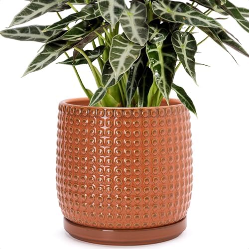 D'vine Dev Beaded Ceramic Pot with Saucer, 8 in, Pumpkin, 27-C-Q-J by DvineDevPlanterPotsandStand
