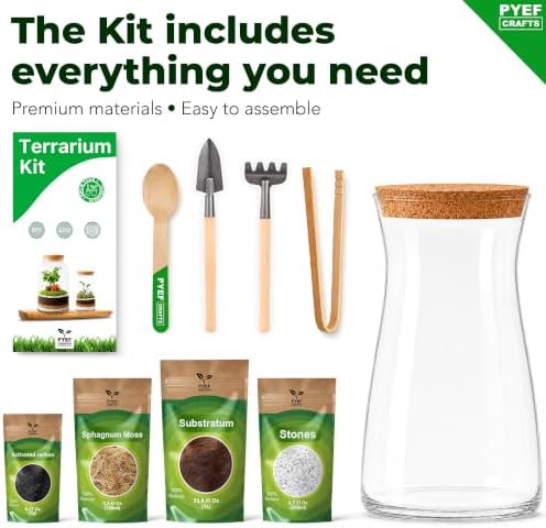 Terrarium Kit for Plants DIY - Image 5