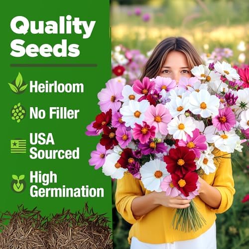 HOME GROWN Cosmos Flower Mix Seeds, 8,000+ Seeds, 1.8 oz - Image 6
